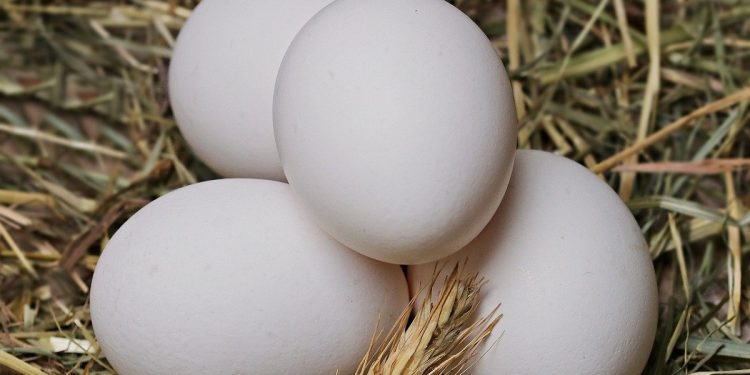 foto: herman&richter/pixabay