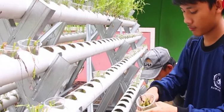 Penggunaan halaman rumah sebagai area bercocok tanam dengan sistem hidroponik untuk memenuhi kebutuhan keluarga. Dok. LINES