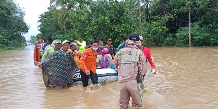 Banjir Kalsel. Dok. BNPB