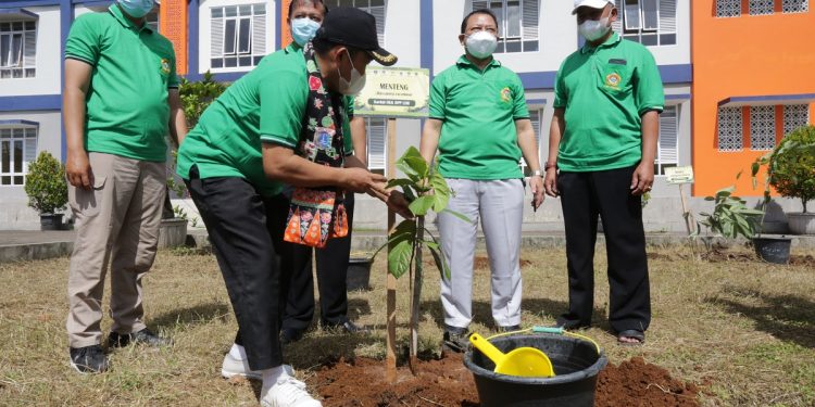 KPKP menyebutkan, gerakan tanam pohon 'luar biasa'. Foto: LINES.