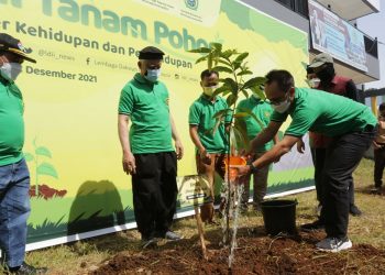 Akademisi IPB: Hutan Bernilai Ekonomi Hingga Sembuhkan Gangguan Psikis