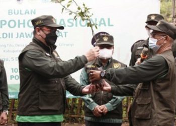 Pemprov dan MUI Jawa Barat Apresiasi Gerakan Tanam Pohon: LDII Bantu Tutup Lahan Kritis