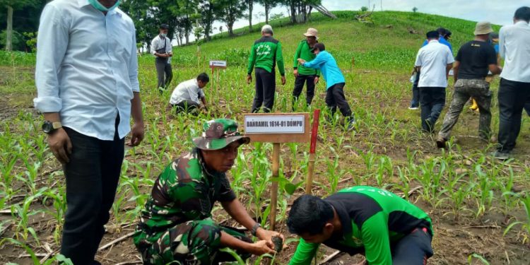 Bupati Dompu mengapresiasi aksi tanam pohon LDII. Foto: Kiriman Daerah.