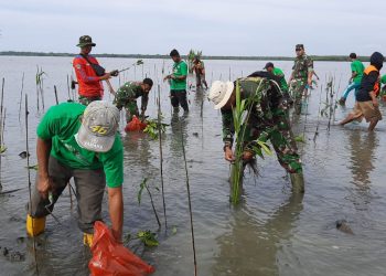 LDII Ketapang Bersama Puluhan Organisasi Tanam Ribuan Mangrove