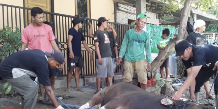 DPD LDII Kabupaten Sumbawa Barat (KSB) melaksanakan penyembelihan 20 hewan kurban. Foto: LINES.