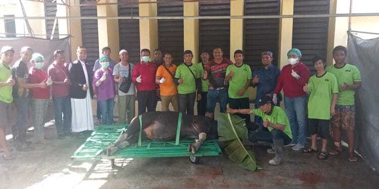 Warga LDII Kabupaten Mimika melaksanakan kurban dengan menyembelih 28 ekor ternak, yang terdiri dari 16 ekor sapi dan 12 ekor kambing dalam perayaan Idul Adha. Foto: LINES.