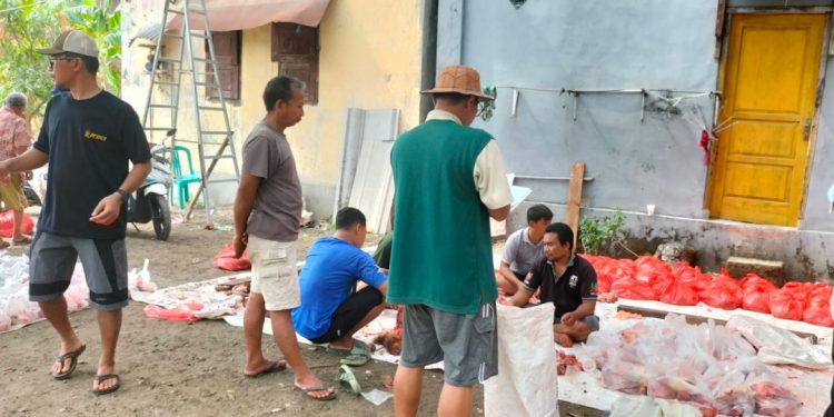 Kurban, Tabungan, Peternak, Ekonomi Kerakyatan, Cegah Stunting, Kontribusi, Karya, Komitmen, LDII, Hari Raya Idul Adha,