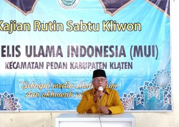 LDII Pedan