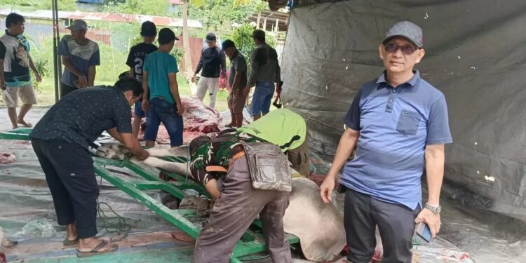 DPW LDII Provinsi Papua Selatan pada Hari Raya Idul Adha 1446 H menyembelih sebanyak 102 hewan kurban. Foto: LINES