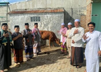 Semangat Berkurban, LDII Sumut Kurban 355 Ekor Sapi dan 409 Ekor Kambing