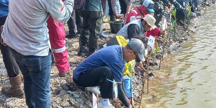 DPD LDII Kabupaten Subang turut berpartisipasi dalam kegiatan penanaman mangrove. Foto: LINES.