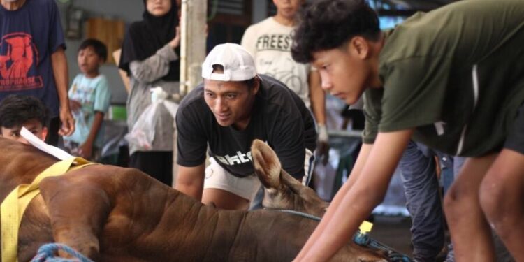 LDII) se-Kapanewon Mlati, Sleman, menyembelih 110 ekor hewan kurban. Foto: LINES.