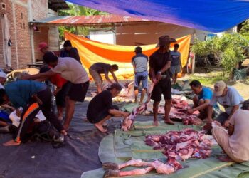 Sesuai Syariat Islam, Dinas Pertanian Luwu Apresiasi Pelaksanaan Kurban LDII Kamanre