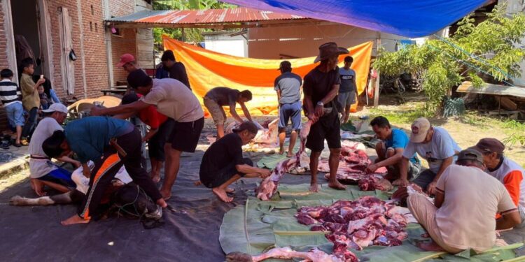 PC LDII Kamanre melaksanakan Hari Raya Idul Adha 1446 H dengan berbagi daging kurban. Foto: LINES.