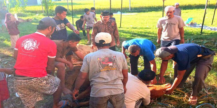 DPD LDII Kabupaten Situbondo membagikan puluhan ribu paket daging kurban kepada masyarakat pada Hari Raya Idul Adha 1446 Hijriah, Jumat (6/6). Foto: LINES