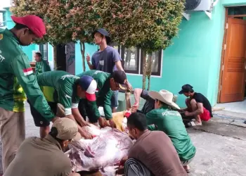 Momen Idul Adha LDII Paser, Bangun Solidaritas Lewat Kurban