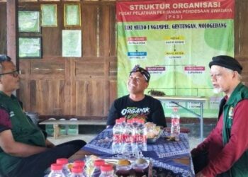 Hasim Ashari Warga LDII yang Jadi Pionir Pertanian Organik di Karanganyar