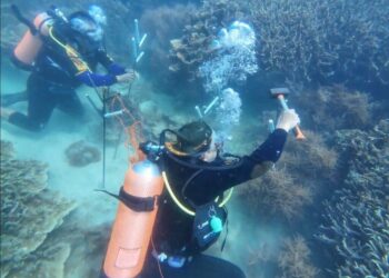 LDII Dukung Penuh Upaya Konservasi Terumbu Karang di Provinsi Banten
