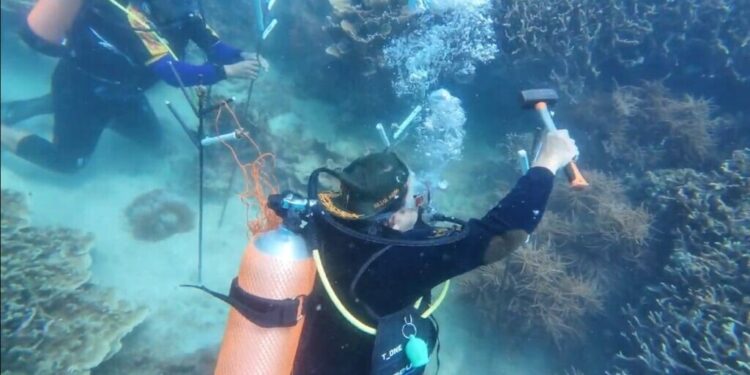 Upaya pemerintah dalam mencegah terjadinya kerusakan ekosistem laut terus dilakukan. Di antaranya menanam bibit terumbu karang di pesisir Merak dan perairan Sangiang pada 3 dan 13 Agustus 2025. Foto: LINES