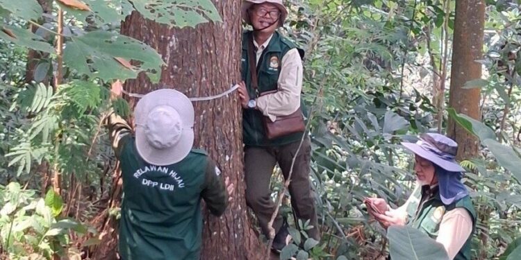 Survei lapangan untuk penentuan plot contoh pengukuran cadangan karbon. (Dok. Pribadi)