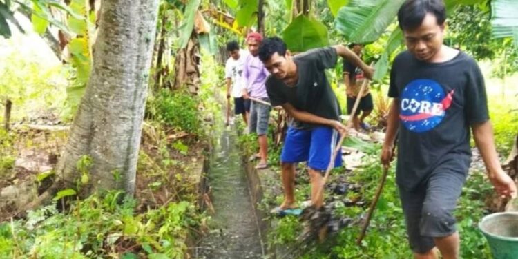 LDII Sokawati menggerakkan warga dan pemuda untuk melakukan kerja bakti membersihkan saluran drainase di Desa Sukowati, Ampelgading. Foto: LINES.