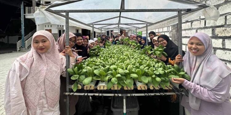 Wanita LDII Kabupaten Lamongan menggelar pelatihan budidaya sayuran hidroponik dan panen perdana. Foto: LINES.