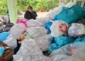 Kerja Sama dengan DLH Kota Batam, Warga LDII Sekupang Konversi 1,3 Ton Sampah Jadi Rupiah