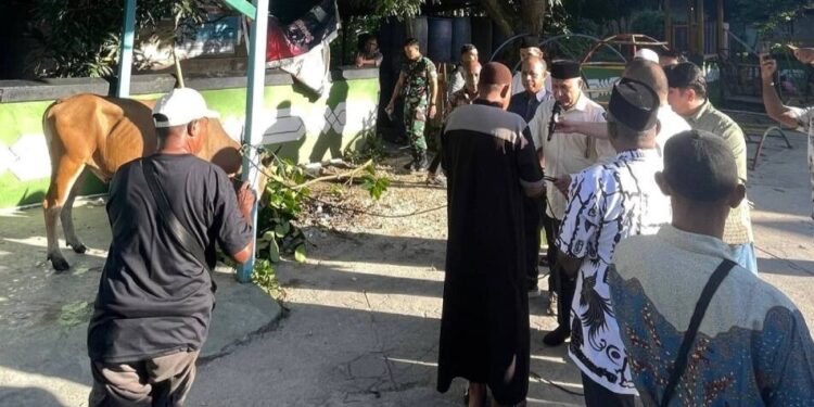 Bupati Kaimana, Hasan Achmad, menyerahkan secara simbolis 33 ekor hewan kurban bantuan pemerintah daerah. Foto: LINES.