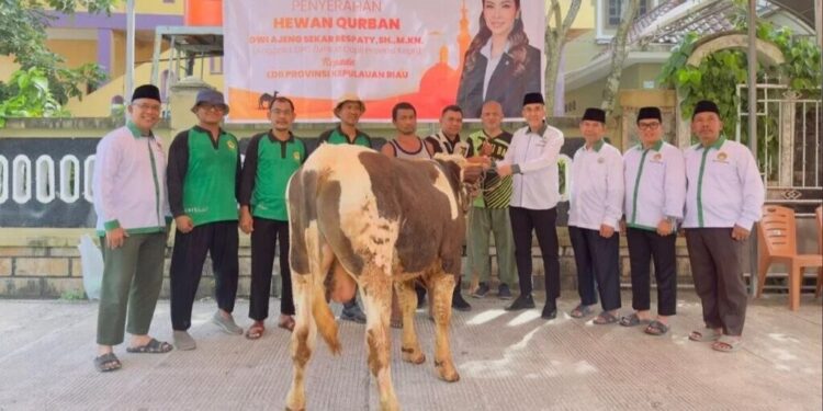 DPW LDII Kepulauan Riau menerima sapi kurban dari anggota DPD RI Dwi Ajeng Sekar Respaty dan anggota DPR RI Rizki Faisal. Foto: LINES