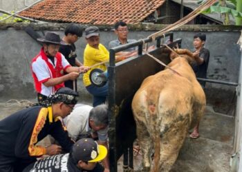 Kurban Warga LDII Pemalang Tembus Rp3,56 Miliar, Tabungan Kurban Jadi Kunci Peningkatan Partisipasi