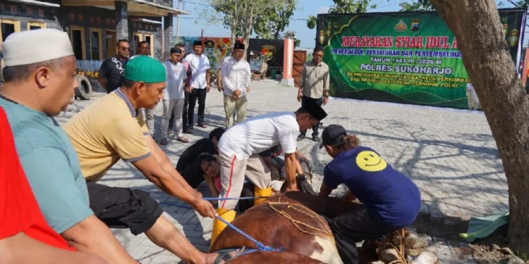 DPD LDII Kabupaten Sukoharjo mengapresiasi langkah Polres Sukoharjo yang menyalurkan hewan kurban kepada berbagai lembaga sosial dan keagamaan pada momentum Iduladha 1447 Hijriah/2026 Masehi. Foto: LINES